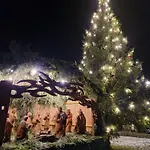 Obora Nová Bystřice